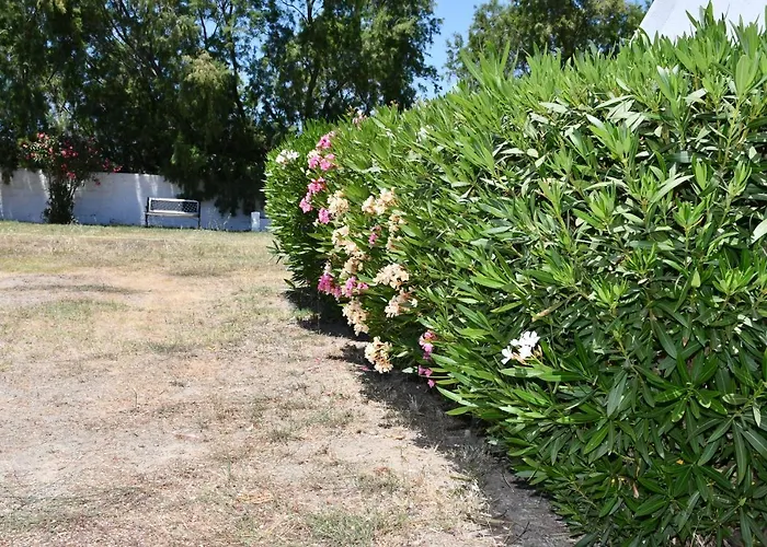 1-bedroom Olympia At Lambi 아파트 *