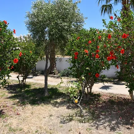 1-bedroom Olympia At Lambi Lägenhet *