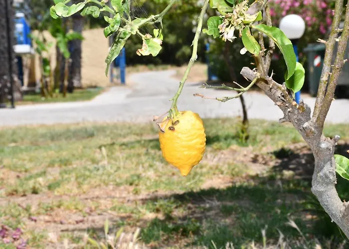 شقة 1-bedroom Olympia At Lambi