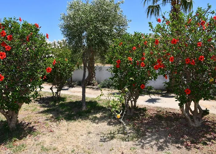 1-bedroom Olympia At Lambi Daire *