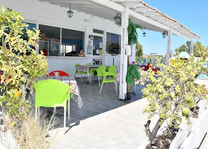 Daire 1-bedroom Olympia At Lambi